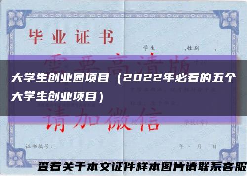 大學生創業園項目（2022年必看的五個大學生創業項目）縮略圖