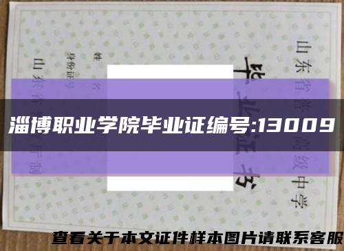 淄博職業學院畢業證編號:13009縮略圖