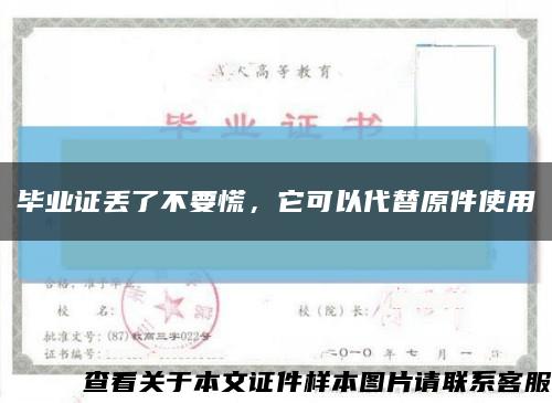 畢業證丟了不要慌，它可以代替原件使用縮略圖