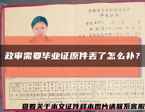 政審需要畢業證原件丟了怎么補？縮略圖