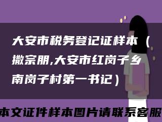 大安市稅務登記證樣本（撒宗朋,大安市紅崗子鄉南崗子村第一書記）縮略圖