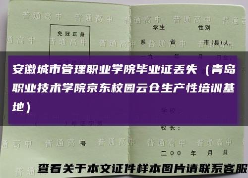 安徽城市管理職業學院畢業證丟失（青島職業技術學院京東校園云倉生產性培訓基地）縮略圖