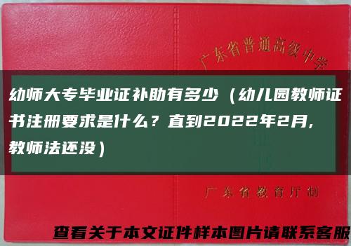 幼師大專畢業證補助有多少（幼兒園教師證書注冊要求是什么？直到2022年2月,教師法還沒）縮略圖