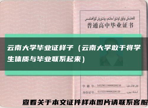 云南大學畢業證樣子（云南大學敢于將學生體質與畢業聯系起來）縮略圖