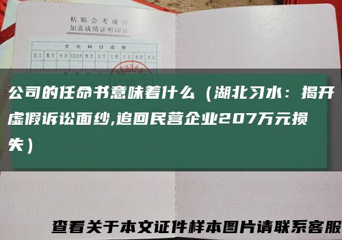 公司的任命書意味著什么（湖北習水：揭開虛假訴訟面紗,追回民營企業207萬元損失）縮略圖