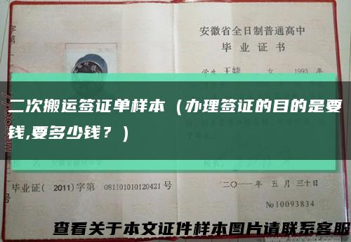 二次搬運簽證單樣本（辦理簽證的目的是要錢,要多少錢？）縮略圖