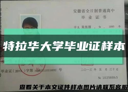 特拉華大學畢業證樣本縮略圖