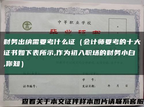 財務出納需要考什么證（會計師要考的十大證書如下表所示,作為初入職場的財務小白,你知）縮略圖