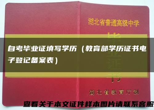 自考畢業證填寫學歷（教育部學歷證書電子登記備案表）縮略圖