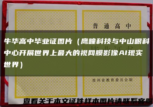 牛華高中畢業證圖片（鷹瞳科技與中山眼科中心開展世界上最大的視網膜影像AI現實世界）縮略圖