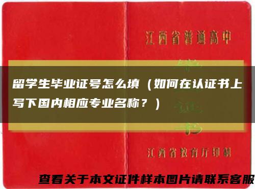留學生畢業證號怎么填（如何在認證書上寫下國內相應專業名稱？）縮略圖