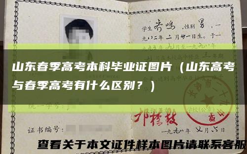 山東春季高考本科畢業證圖片（山東高考與春季高考有什么區別？）縮略圖