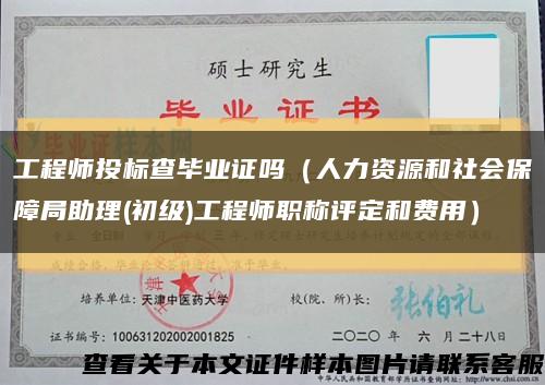 工程師投標查畢業證嗎（人力資源和社會保障局助理(初級)工程師職稱評定和費用）縮略圖