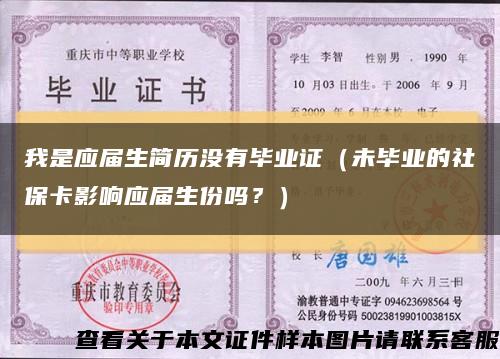我是應屆生簡歷沒有畢業證（未畢業的社?？ㄓ绊憫獙蒙輪?？）縮略圖