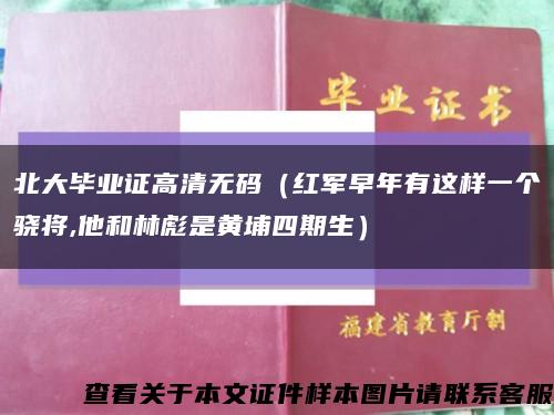 北大畢業證高清無碼（紅軍早年有這樣一個驍將,他和林彪是黃埔四期生）縮略圖
