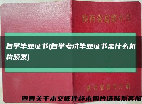 自學畢業證書(自學考試畢業證書是什么機構頒發)縮略圖