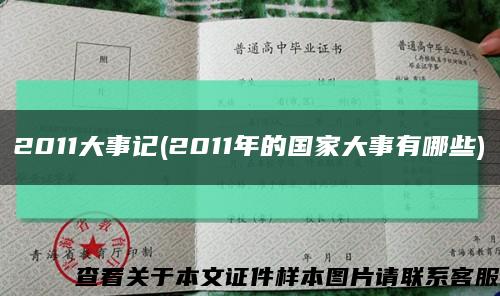 2011大事記(2011年的國家大事有哪些)縮略圖