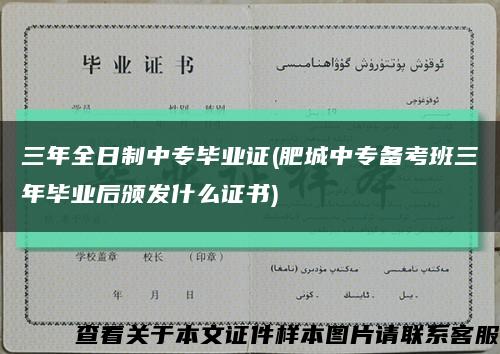 三年全日制中專畢業證(肥城中專備考班三年畢業后頒發什么證書)縮略圖