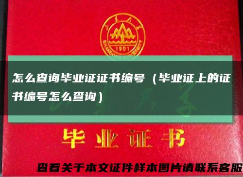 怎么查詢畢業證證書編號（畢業證上的證書編號怎么查詢）縮略圖