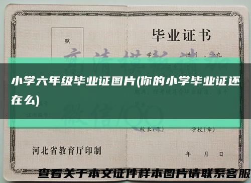 小學六年級畢業證圖片(你的小學畢業證還在么)縮略圖
