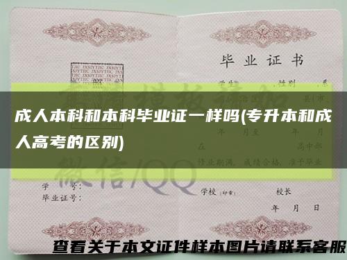 成人本科和本科畢業證一樣嗎(專升本和成人高考的區別)縮略圖