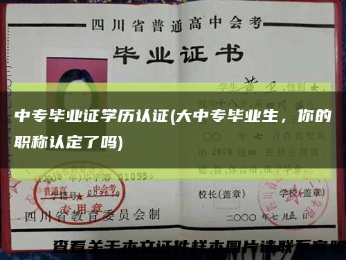 中專畢業證學歷認證(大中專畢業生，你的職稱認定了嗎)縮略圖