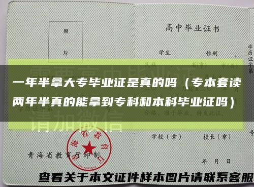 一年半拿大專畢業證是真的嗎（專本套讀兩年半真的能拿到?？坪捅究飘厴I證嗎）縮略圖