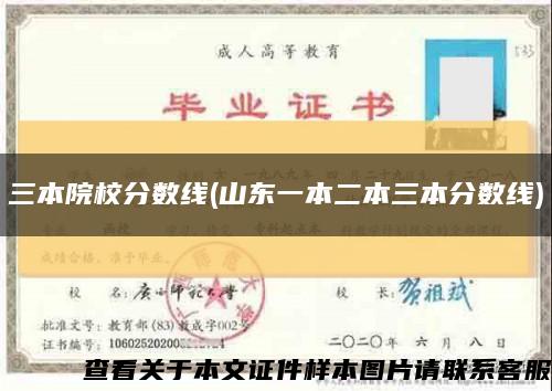 三本院校分數線(山東一本二本三本分數線)縮略圖