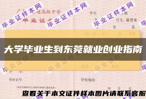 大學畢業生到東莞就業創業指南縮略圖