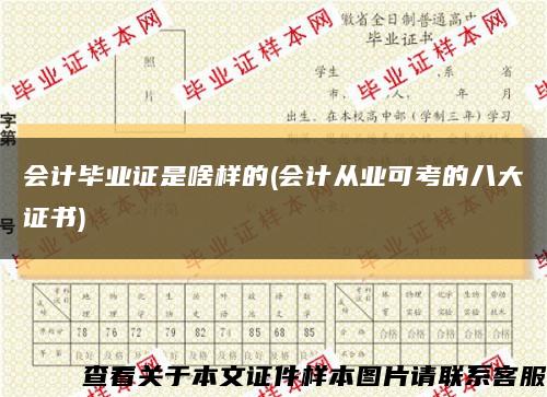 會計畢業證是啥樣的(會計從業可考的八大證書)縮略圖