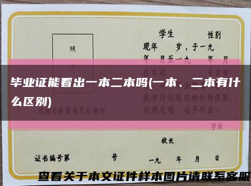 畢業證能看出一本二本嗎(一本、二本有什么區別)縮略圖