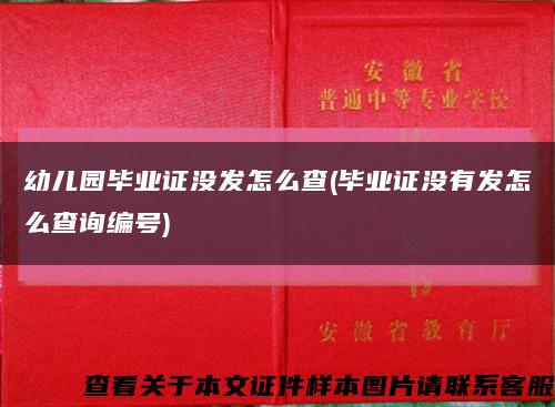 幼兒園畢業證沒發怎么查(畢業證沒有發怎么查詢編號)縮略圖