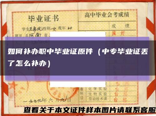 如何補辦職中畢業證原件（中專畢業證丟了怎么補辦）縮略圖