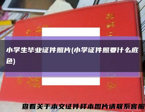小學生畢業證件照片(小學證件照要什么底色)縮略圖
