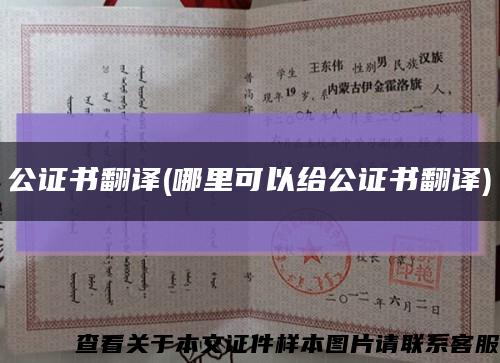 公證書翻譯(哪里可以給公證書翻譯)縮略圖