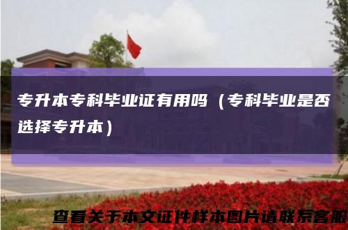 專升本?？飘厴I證有用嗎（?？飘厴I是否選擇專升本）縮略圖