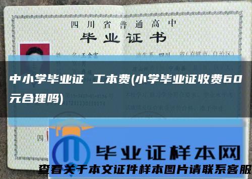 中小學畢業證 工本費(小學畢業證收費60元合理嗎)縮略圖