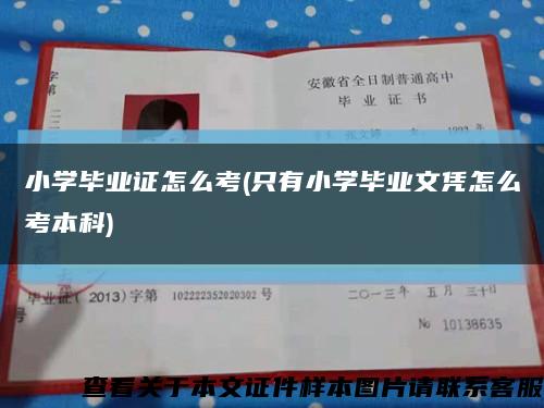 小學畢業證怎么考(只有小學畢業文憑怎么考本科)縮略圖