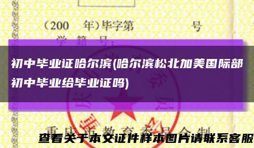 初中畢業證哈爾濱(哈爾濱松北加美國際部初中畢業給畢業證嗎)縮略圖