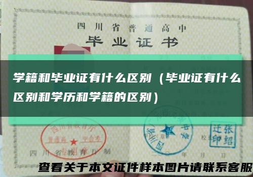 學籍和畢業證有什么區別（畢業證有什么區別和學歷和學籍的區別）縮略圖