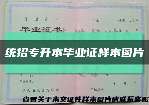 統招專升本畢業證樣本圖片縮略圖