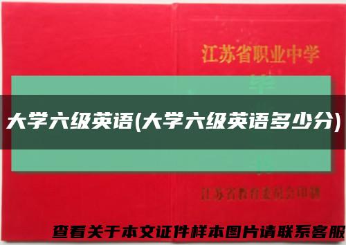 大學六級英語(大學六級英語多少分)縮略圖