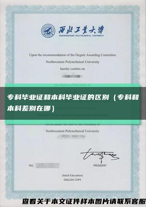 ?？飘厴I證和本科畢業證的區別（?？坪捅究撇顒e在哪）縮略圖