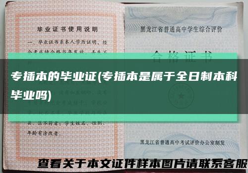專插本的畢業證(專插本是屬于全日制本科畢業嗎)縮略圖