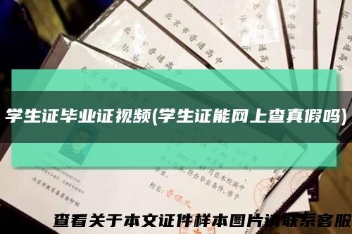 學生證畢業證視頻(學生證能網上查真假嗎)縮略圖