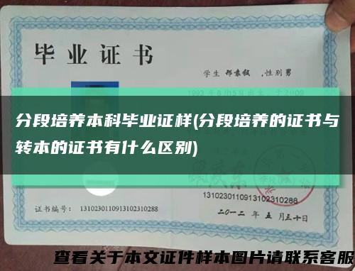 分段培養本科畢業證樣(分段培養的證書與轉本的證書有什么區別)縮略圖