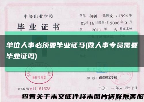 單位人事必須要畢業證馬(做人事專員需要畢業證嗎)縮略圖