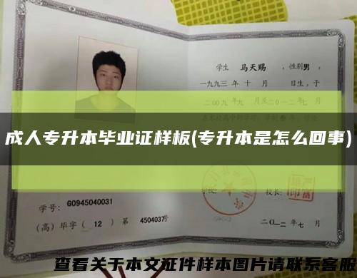 成人專升本畢業證樣板(專升本是怎么回事)縮略圖
