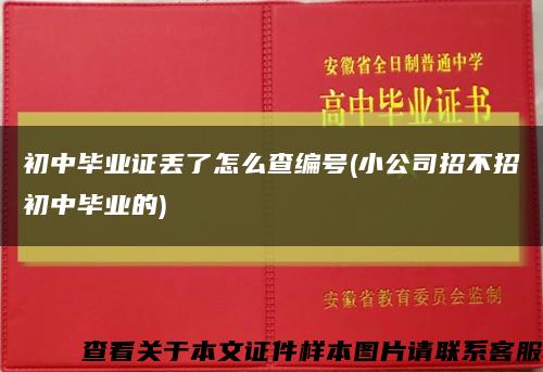 初中畢業證丟了怎么查編號(小公司招不招初中畢業的)縮略圖