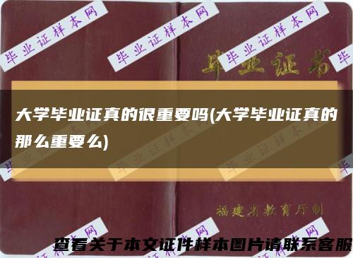 大學畢業證真的很重要嗎(大學畢業證真的那么重要么)縮略圖